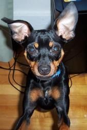 Sunshyne106 profile photo