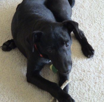 wisems profile photo