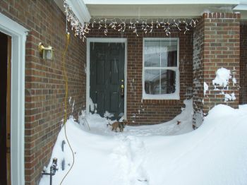 vince1975 profile photo