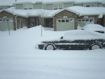 vince1975 profile photo