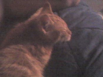 ceannels profile photo