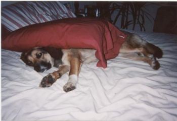 JLewin profile photo