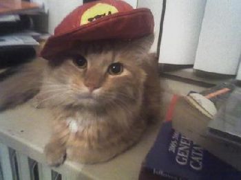 Myriel profile photo