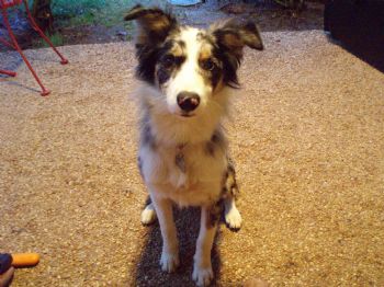 crnl4bn profile photo