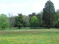 Brandy212 profile photo