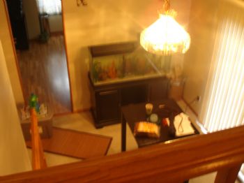 Bobby12332 profile photo