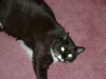 LauraC86 profile photo