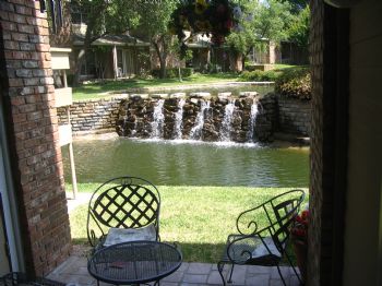 MickFodder profile photo