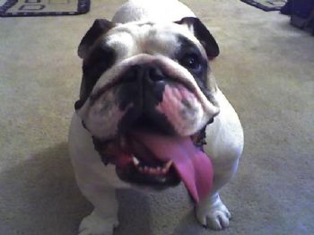 keefer_5 profile photo