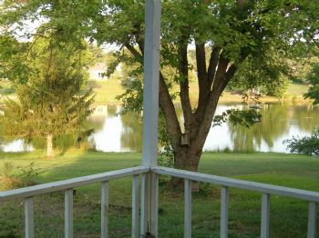 lake tennis profile photo