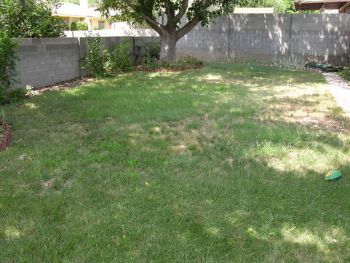 rjwilliams25 profile photo