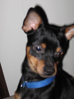 jondakota profile photo