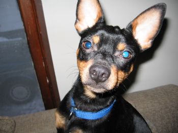 jondakota profile photo