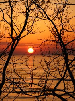 amber_hey profile photo