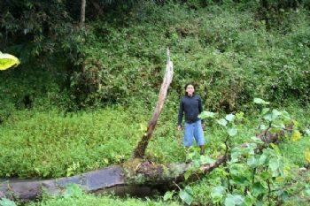 sunner profile photo