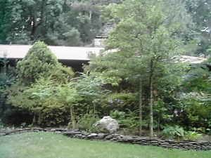 ohsocosmo21 profile photo