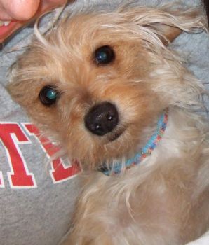 buck4225 profile photo