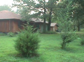 Paradiseroom profile photo