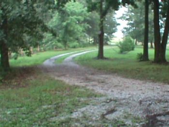 Paradiseroom profile photo