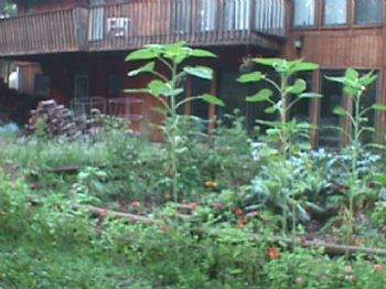 Paradiseroom profile photo