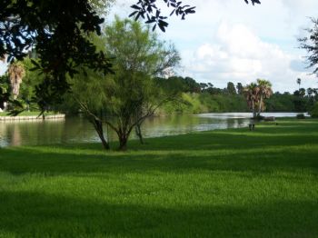 pong14 profile photo