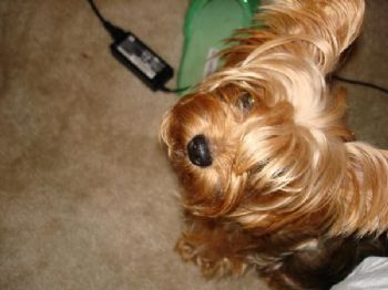ashly1985 profile photo