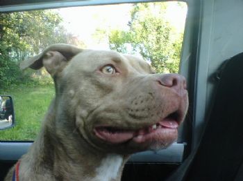 whatever1983 profile photo