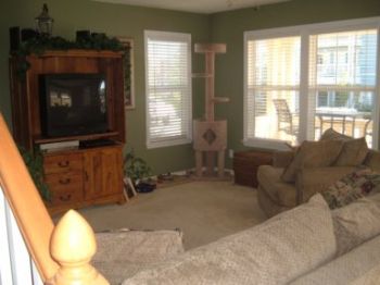 sinnet23 profile photo