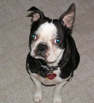 Tina807 profile photo