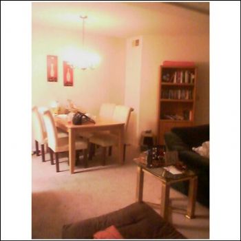 mphillips194 profile photo