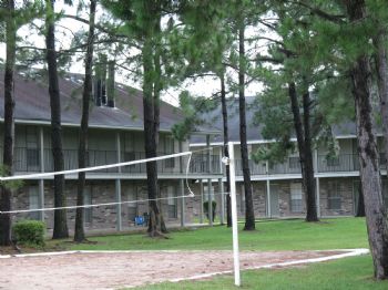 Gabie512 profile photo