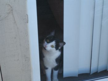 kbarter profile photo