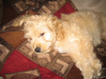 kbarter profile photo