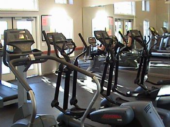 sante7 profile photo