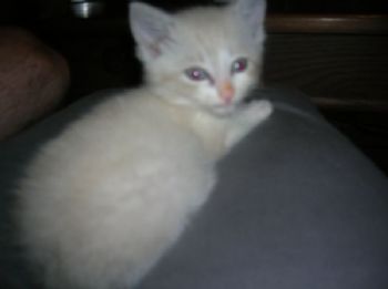 Sarah_ann182 profile photo