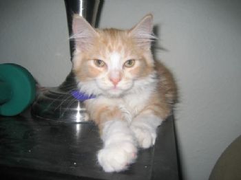 thewayiplay profile photo