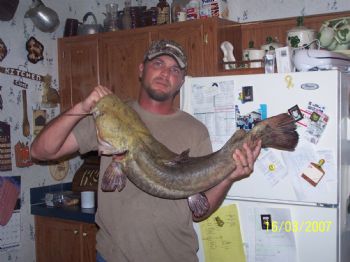 jasonroark profile photo