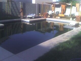 pforline profile photo