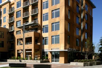 trishnbrian profile photo