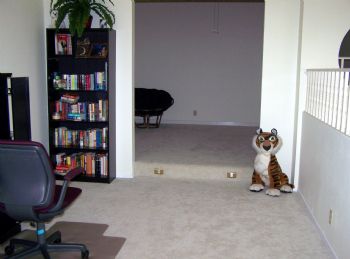 oceanview28 profile photo