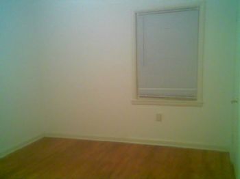 dmplgrl profile photo