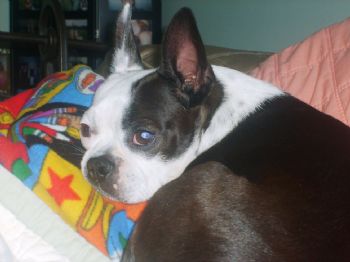 duthcessbt profile photo