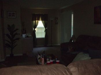 gin4182 profile photo