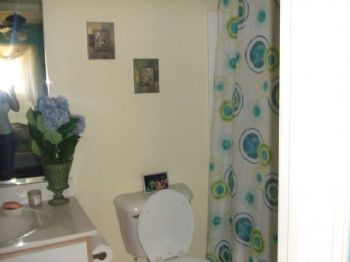 gin4182 profile photo