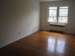 laura88 profile photo