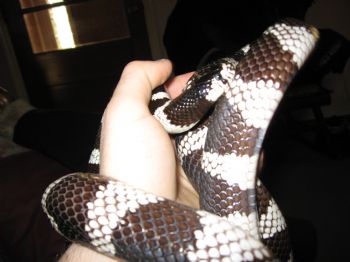 rockrjay78 profile photo