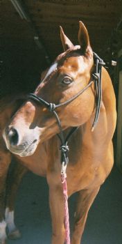misstlc83 profile photo