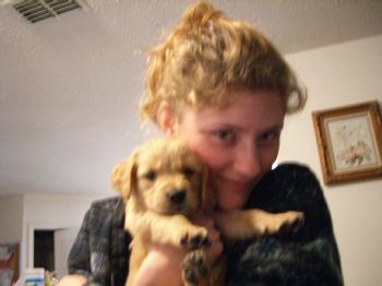 Dogtrainer20 profile photo