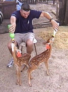 QBUSHON profile photo