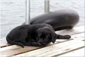 emmaleigh20 profile photo